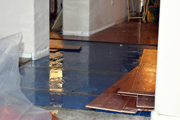 Professional Burst Pipe Cleanup technician working in Bolton, MA